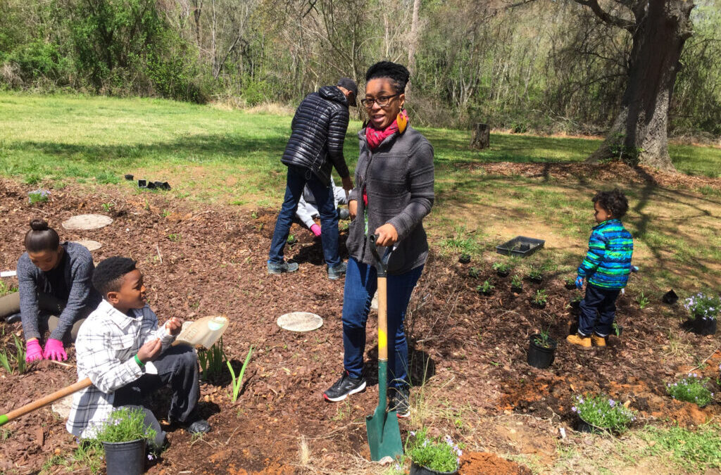 The Walnut Creek Wetlands: A Story of Restoration and Community Perseverance